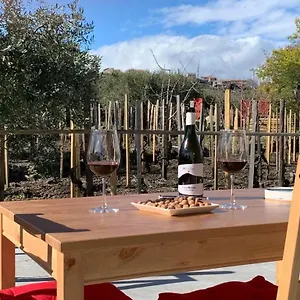 La Casa Nel Vigneto Di Tenuta Bastonaca , Solicchiata Italia